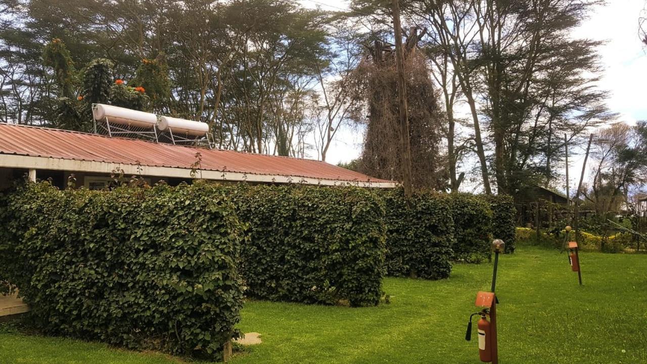 Hippo Safaris Resort Naivasha Buitenkant foto
